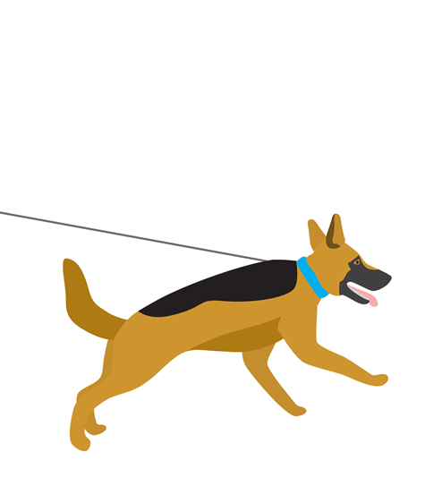 Frontier K9 Services - Security