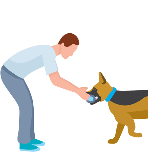 Puppy Training
