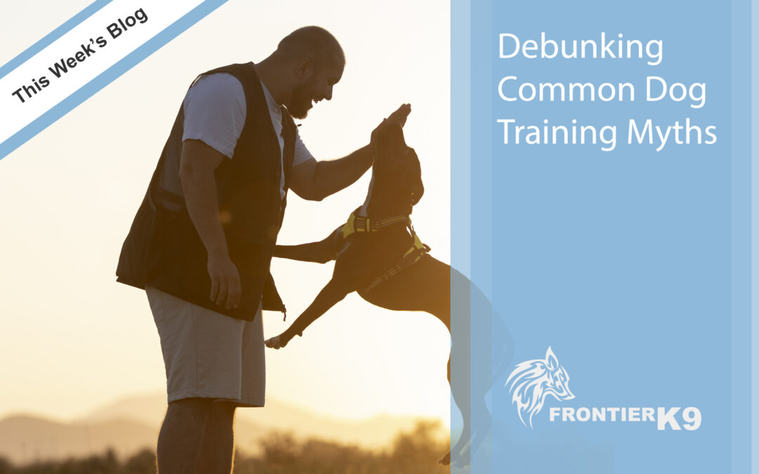 Debunking Common Dog Training Myths