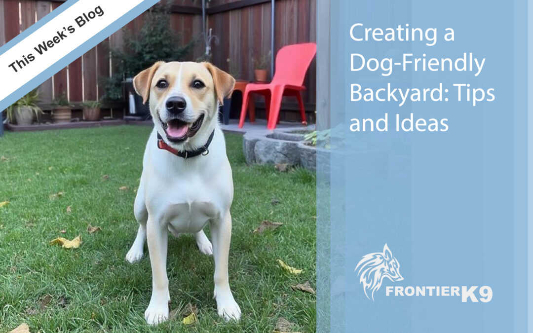 Creating a Dog-Friendly Backyard or Garden
