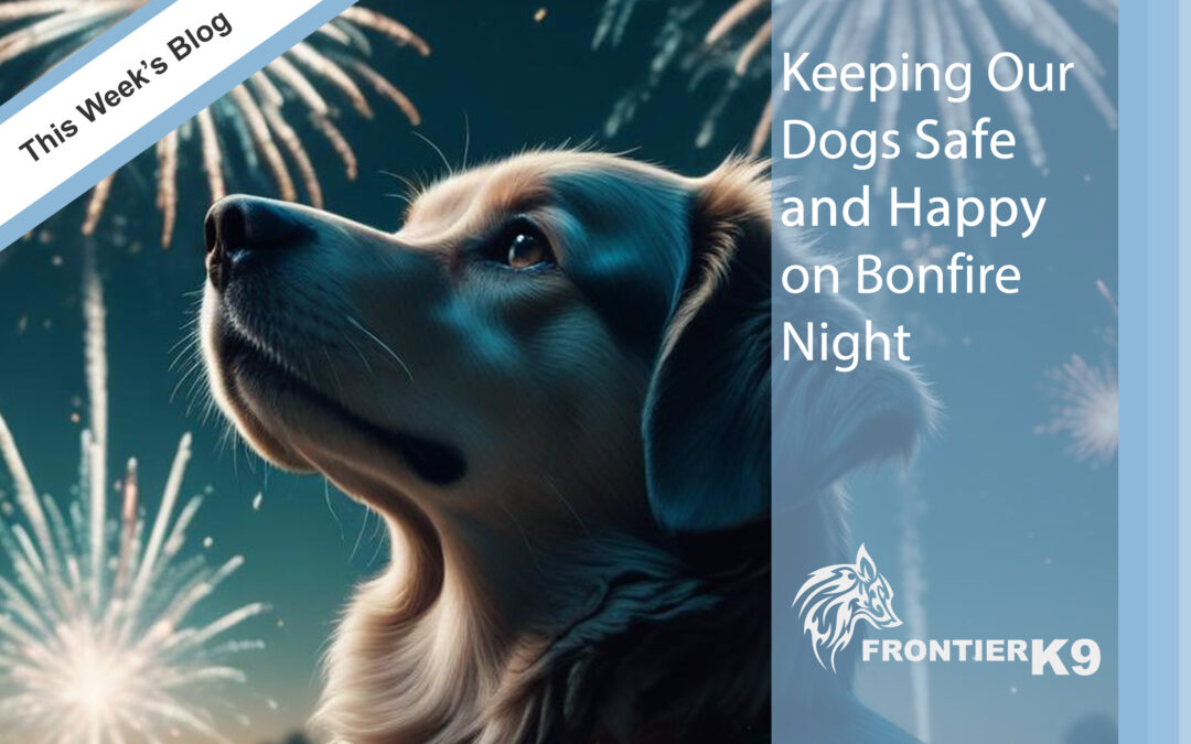 Keeping Our Dogs Safe and Happy on Bonfire Night