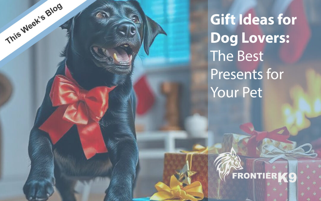 The Best Presents for Your Dog This Christmas