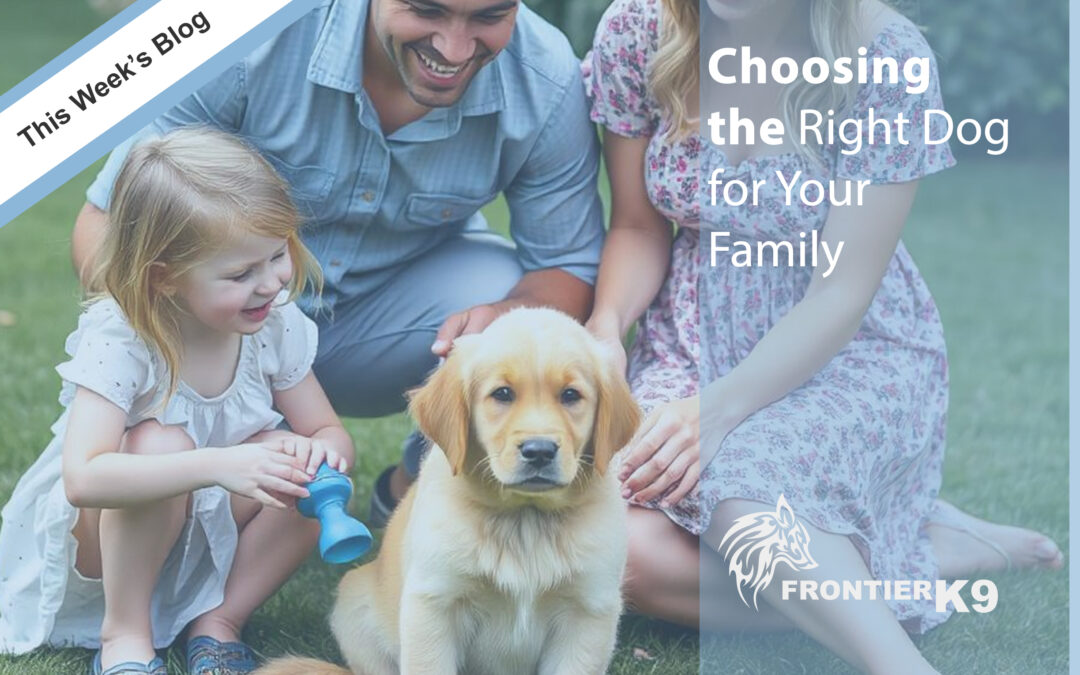 Choosing the Right Dog for Your Family