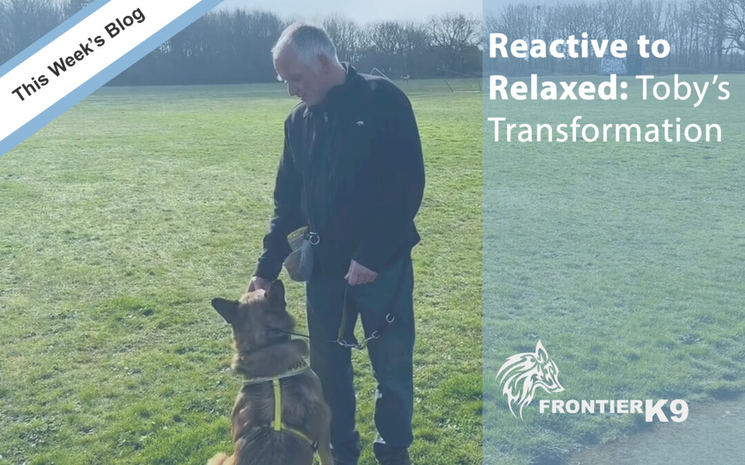 Reactive to Relaxed: Toby’s Transformation with Frontier K9 Services