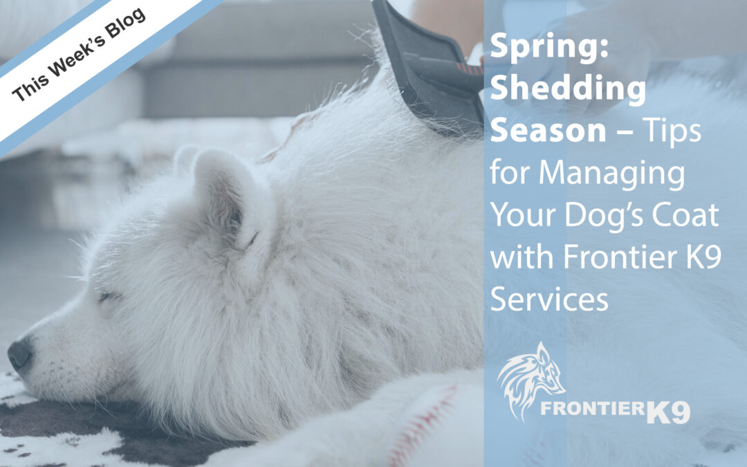 Spring: Shedding Season