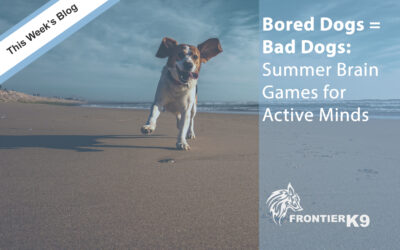 Bored Dogs = Bad Dogs