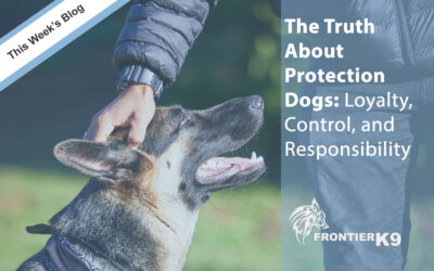 The Truth About Protection Dogs: